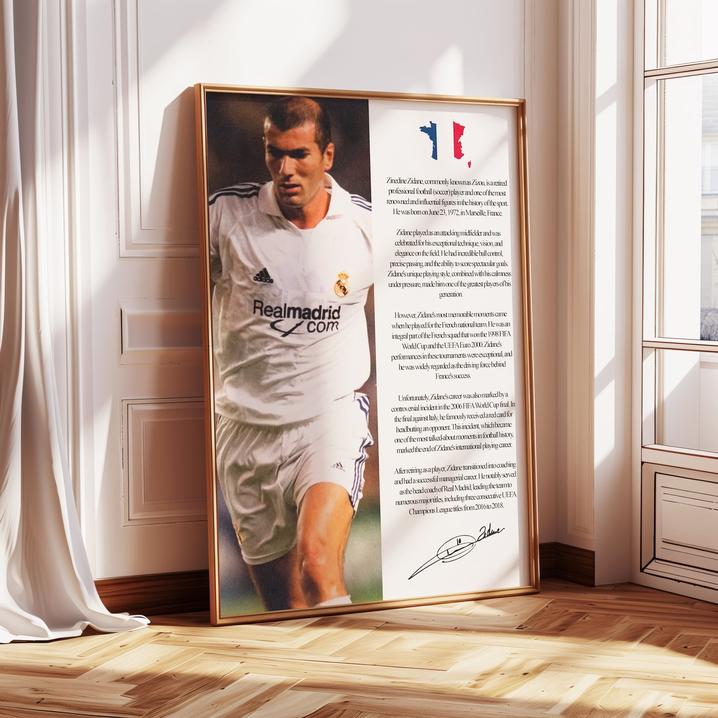 Zinedine Zidane Poster