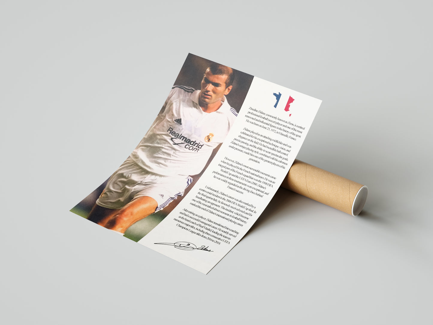 Zinedine Zidane Poster