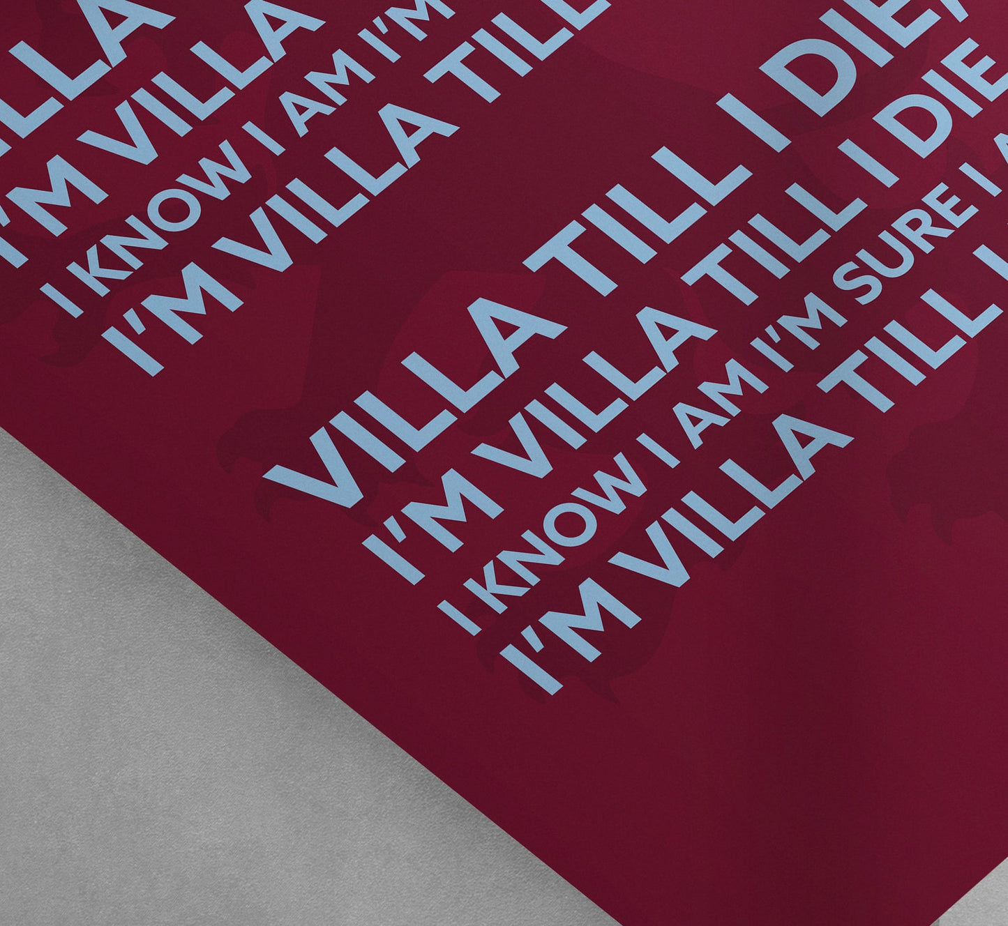 Aston Villa Poster Print