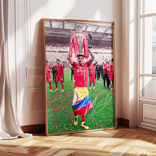 Luis Diaz Poster